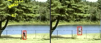 Обнаружив нечто новое, VideoIQ детектирует фоновое движение и распознает, что это не человек. Через несколько секунд, система обучается совершенно игнорировать такое повторяющееся фоновое движение