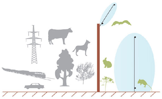 Помеховые факторы и допустимые в зоне обнаружения элементы для проводноволновых извещателей